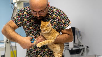 cat: man trimming cat nails 1472590566