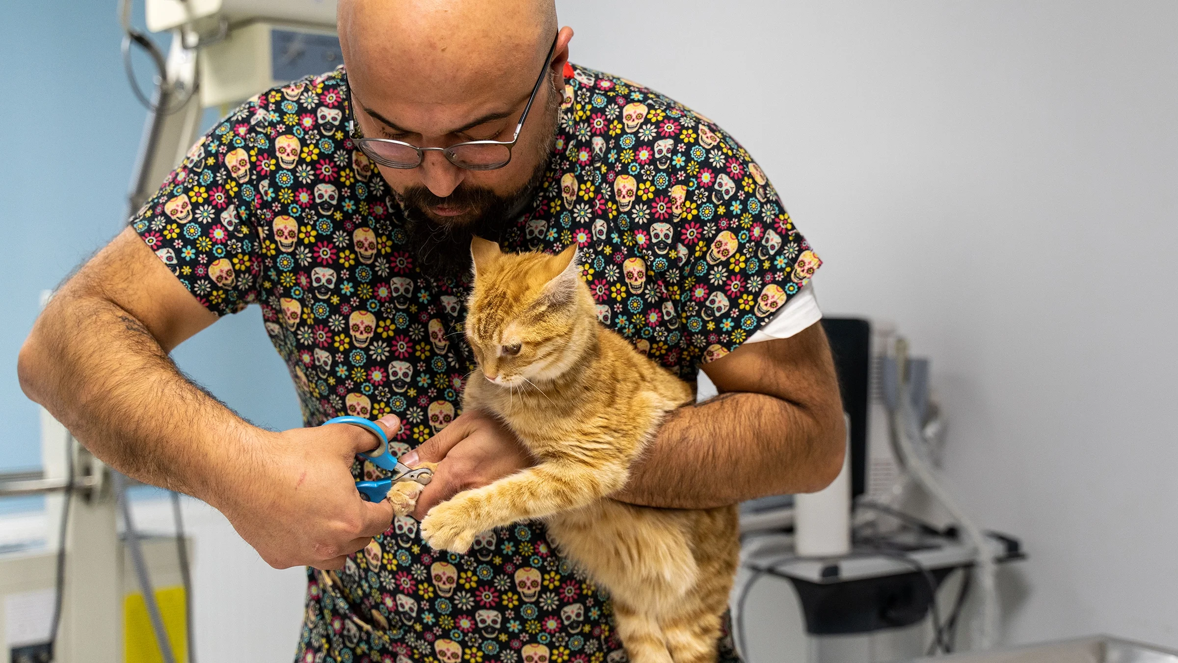 A man trims a cat’s nails.
