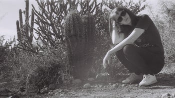 schaffer featured image