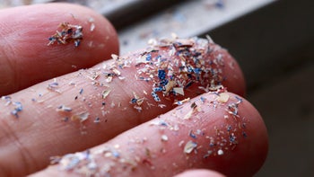 Environmental: microplastics on finger tips closeup 1317882487