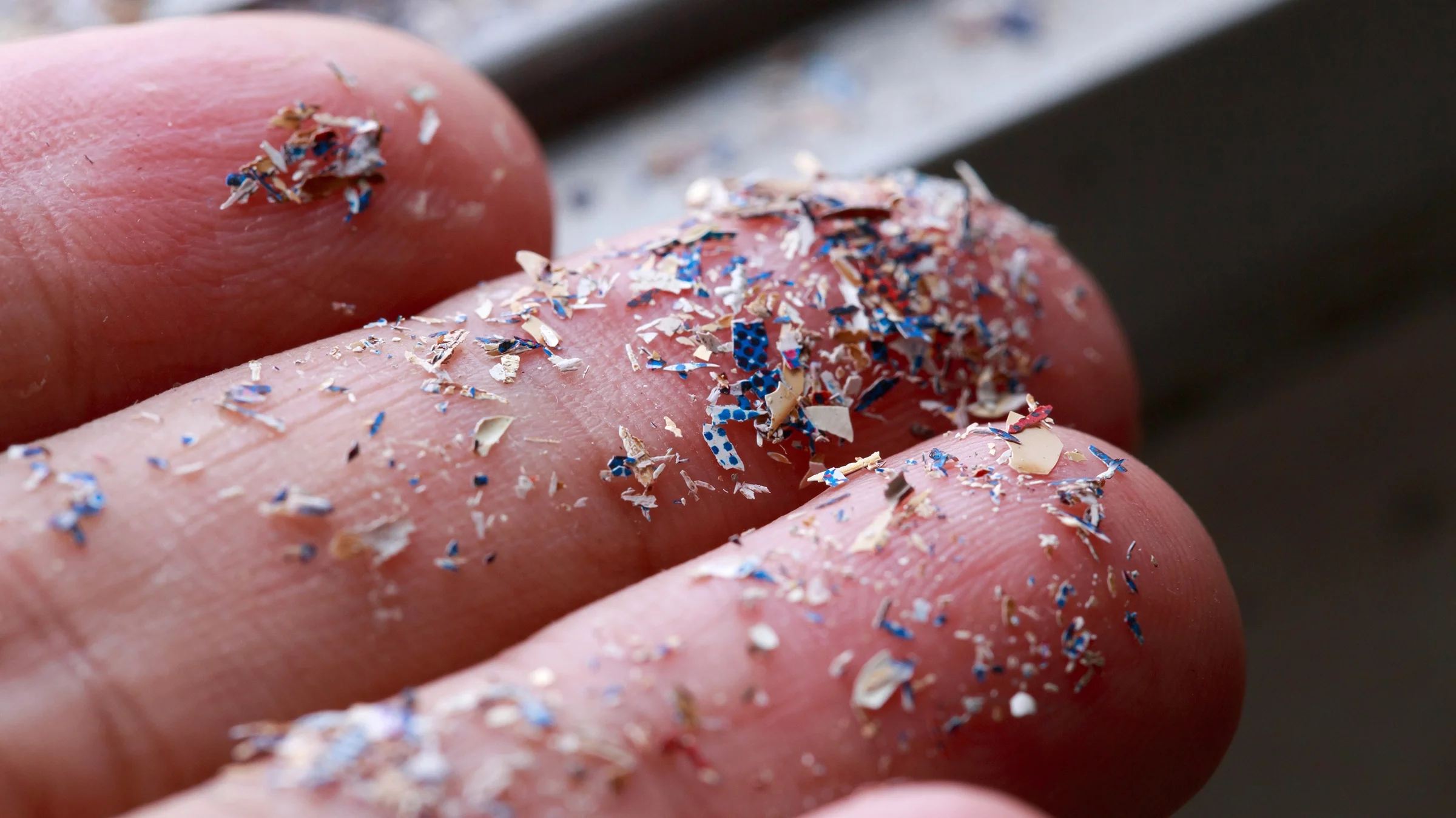 A close-up image shows microplastics on a person's fingertips. They are mostly blue and white fragments.