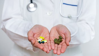 Cannabis: Pain: doctors hands holding cannabis and pills 1158193415