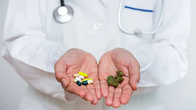 Cannabis: Pain: doctors hands holding cannabis and pills 1158193415