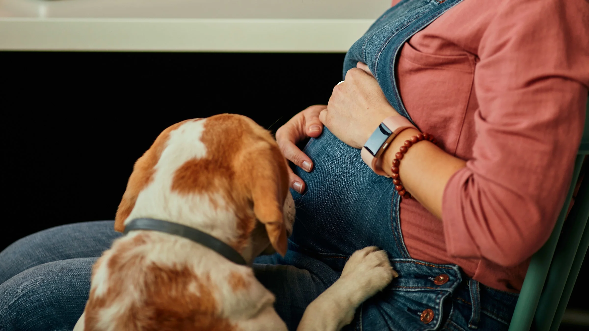 A cropped shot of a dog by a pregnant belly.