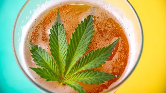 Health: Substance use: marijuana leaf in beer glass 1161224925