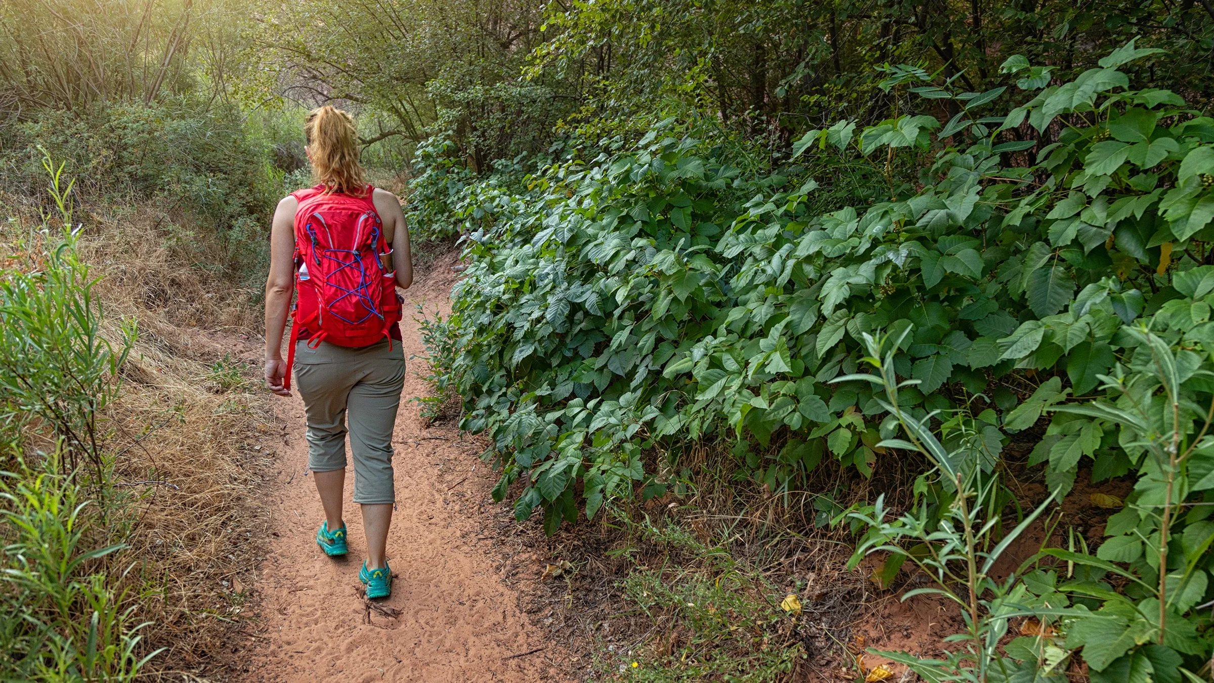A woman walks by poison ivy on a trail. 