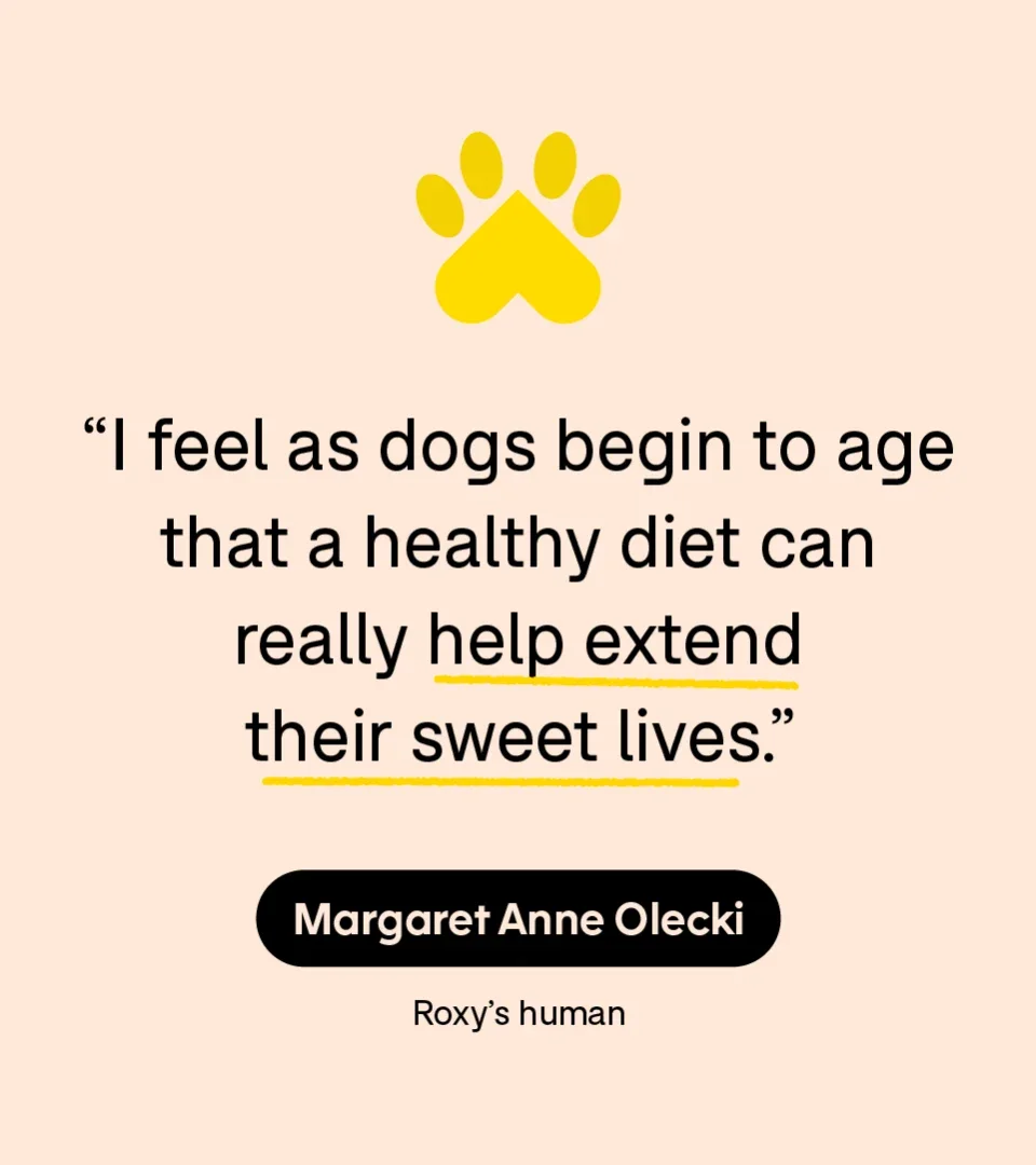 “I feel as dogs begin to age that a healthy diet can really help extend their sweet lives.” — Margaret Anne Olecki, Roxy’s human