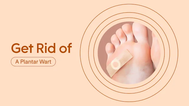 rid featured image (2)