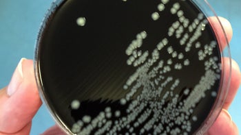 gastrointestinal-infection ꞉ GettyImages 588965116