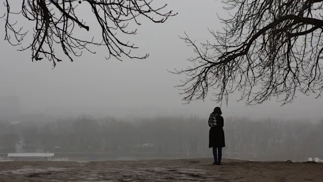 Treating the Winter Blues: Are Northern US States the Only Ones at Risk for Seasonal Affective Disorder?