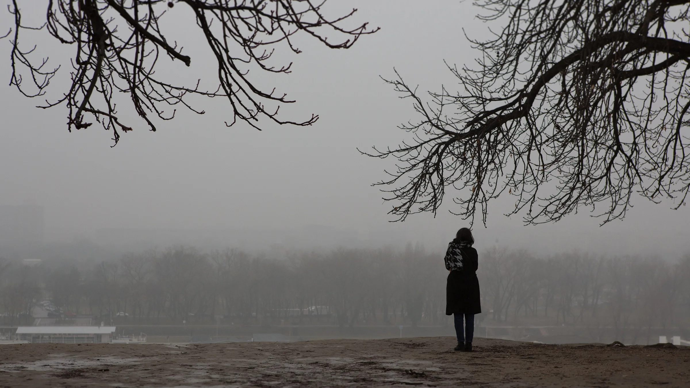 Back of woman standing in a wintery field with tree branches hanging down into frame.