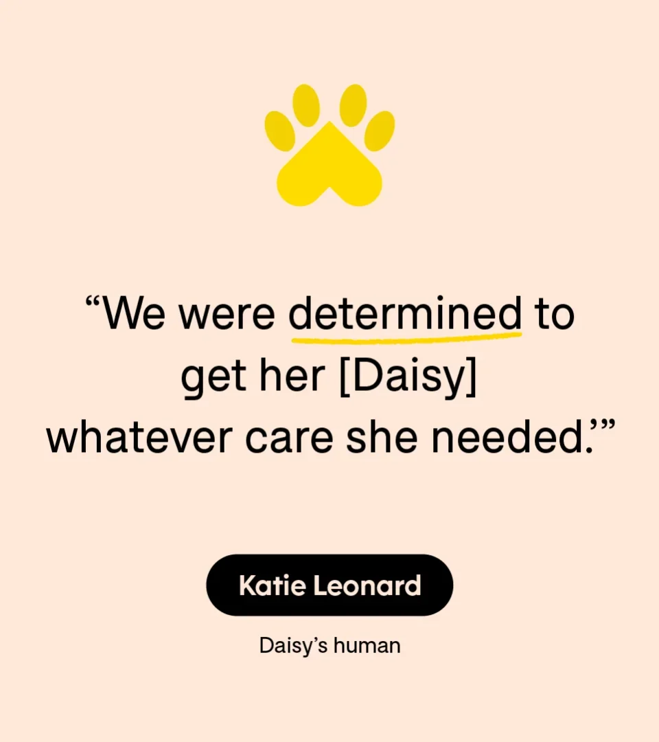 “We were determined to get her [Daisy] whatever care she needed.” — Katie Leonard