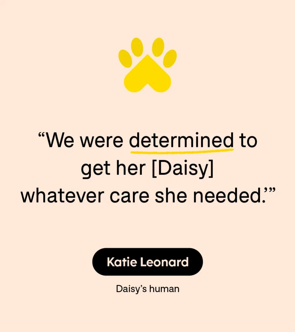 “We were determined to get her [Daisy] whatever care she needed.” — Katie Leonard