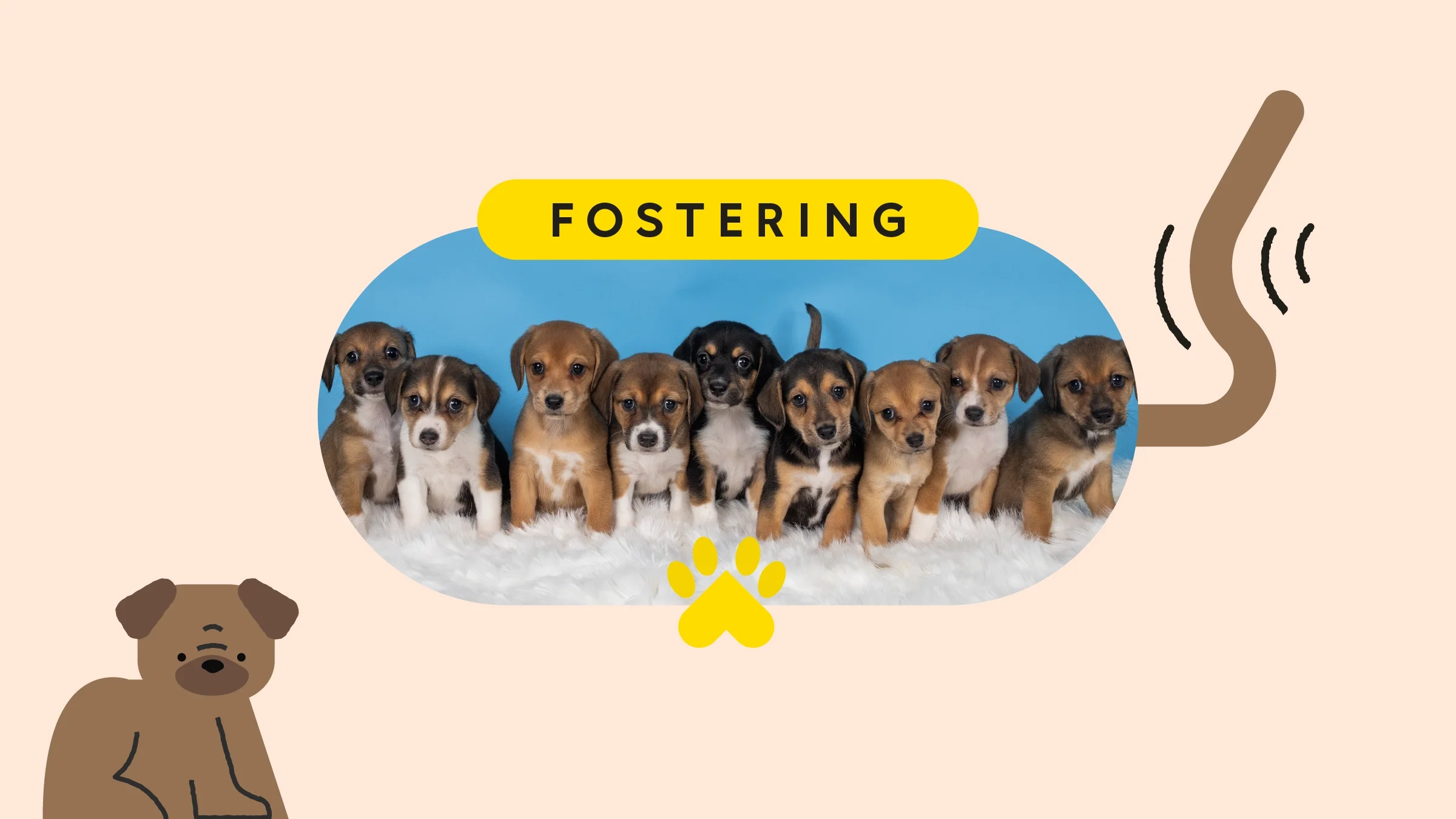 A graphic includes text reading “Fostering” over a photo of foster puppies, which is surrounded by dog-themed doodles. 