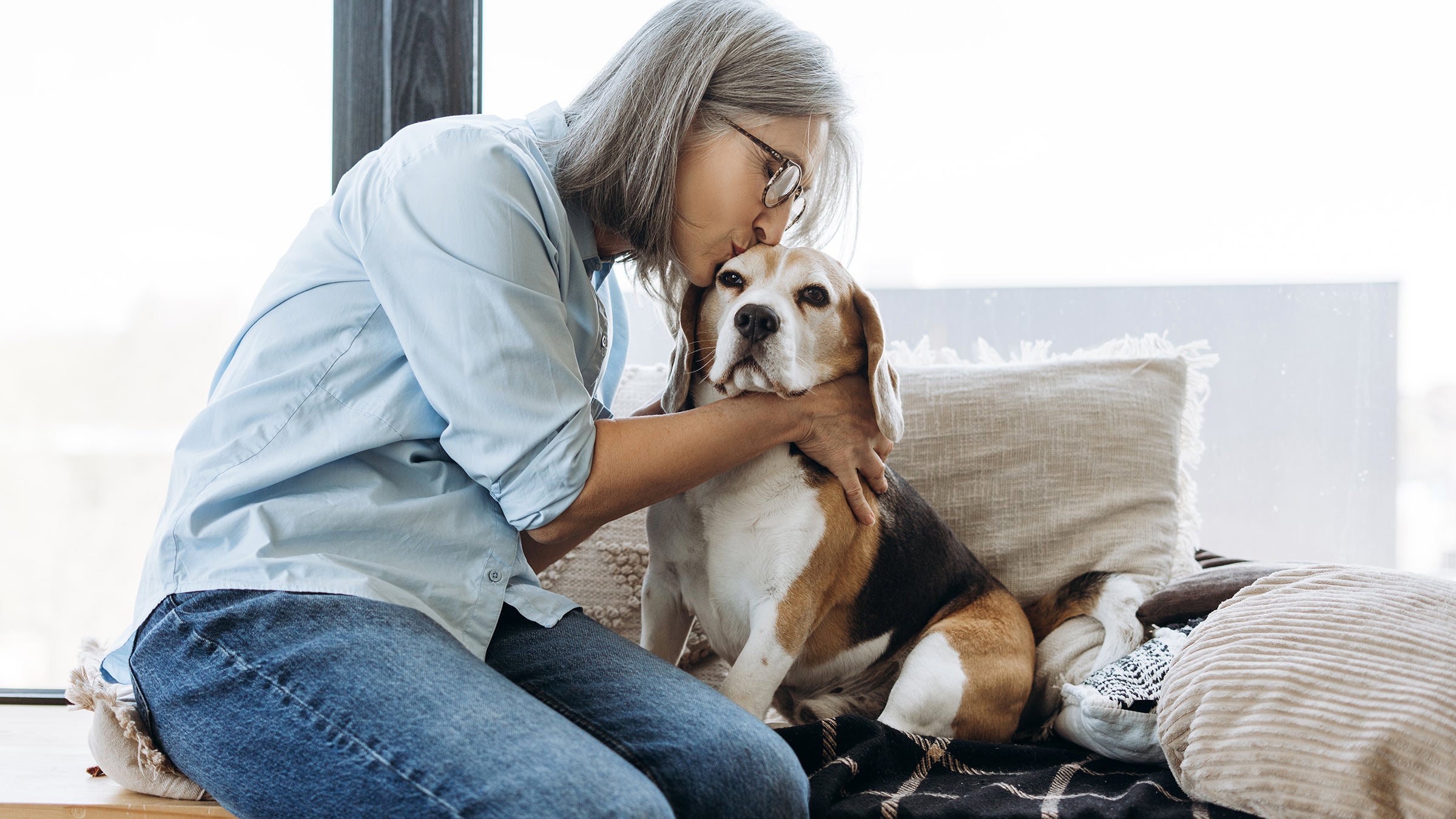 dog: woman hugging senior beagle dog 2214783890