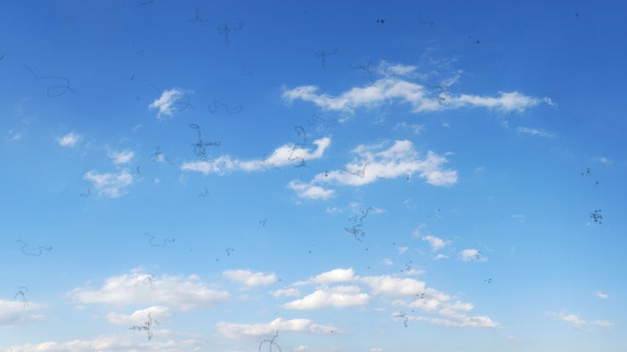 Wispy clouds in the sky with eye floaters over the frame. The floaters look like little grainy black strands.