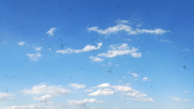 clouds sky with eye floaters-815630504