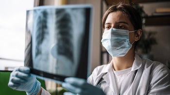 Diagnostics: woman examining medical xray 1344411662