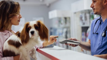 Taxes: woman paying a vet bill 2160576657