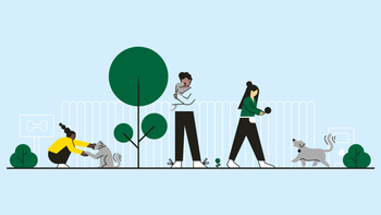 Pets: quiz dogs-01