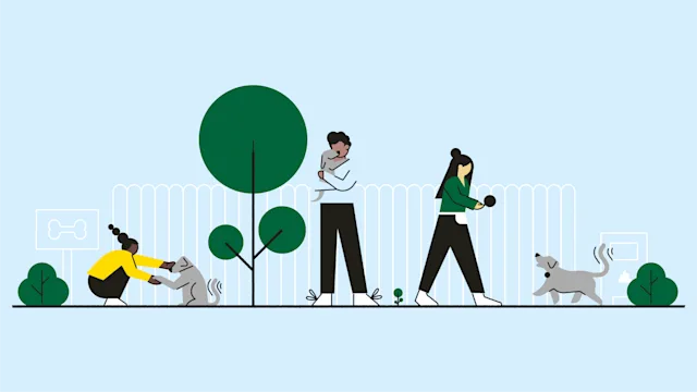 Pets: quiz dogs-01