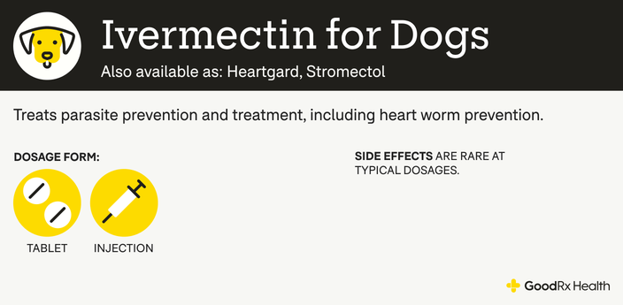 An infographic explaining Ivermectin for dogs, including its alternative names, uses, dosage forms, and common side effects.
