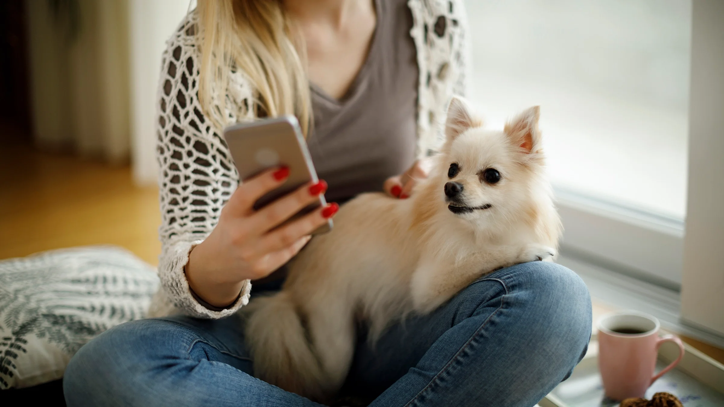 Cropped shot of a woman holding her dog in her lap while she uses her mobile phone.