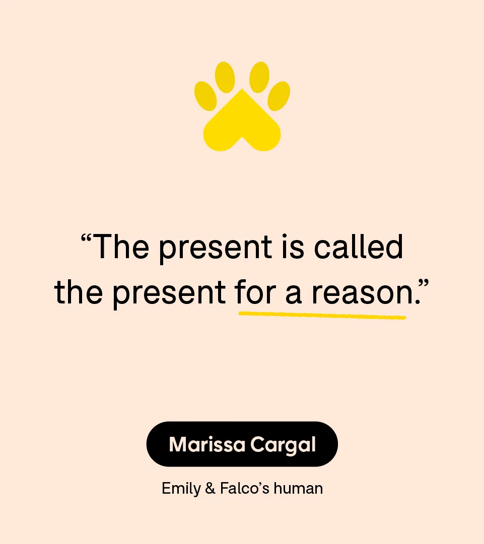 “The present is called the present for a reason.” — Marissa Cargal
