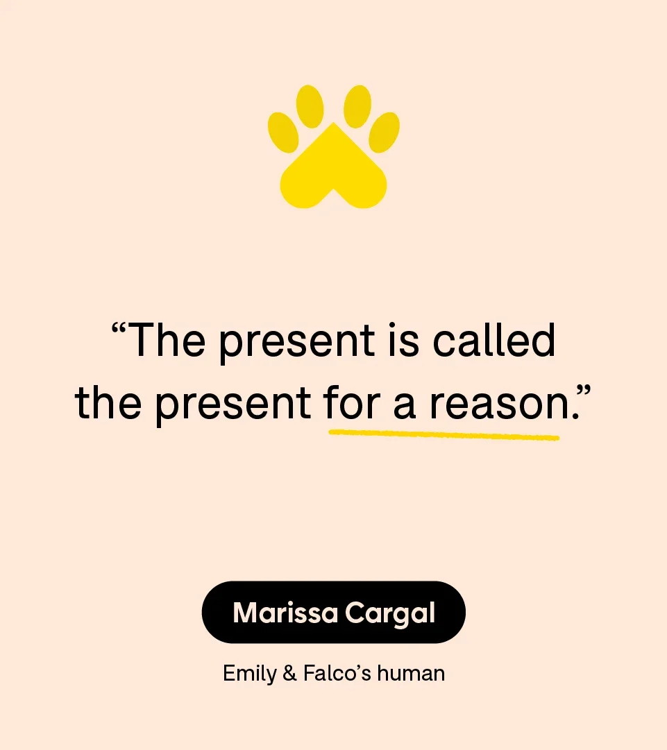 “The present is called the present for a reason.” — Marissa Cargal