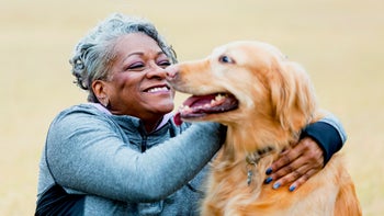 Health: Dog: older woman and her golden retriever 514880599