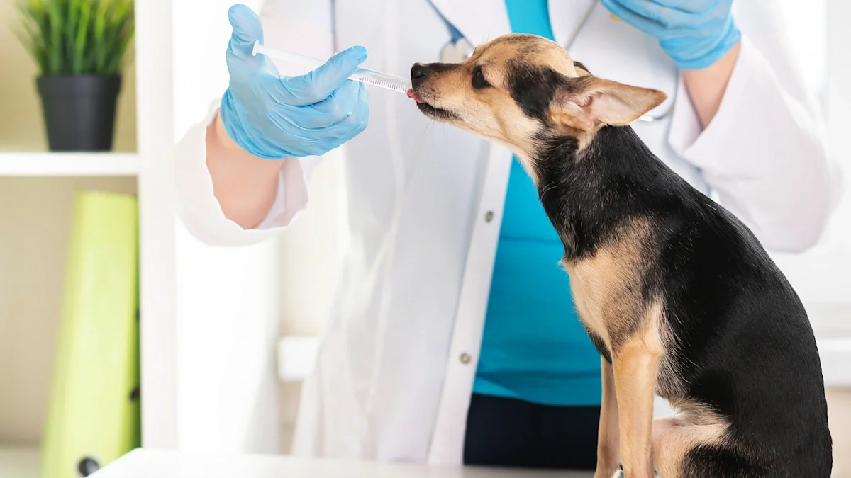 Image showcasing Theophylline for Dogs: Medication to Help Dogs Breathe Easier - GoodRx