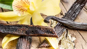 Diet nutrition: closeup vanilla bean seed and flower 2207031525