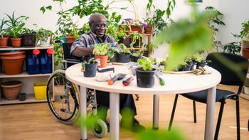 Movement-exercise: man gardening at a table 1468847705