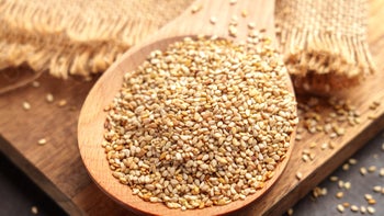 diet-nutrition: spoonful of sesame seeds 2190368626