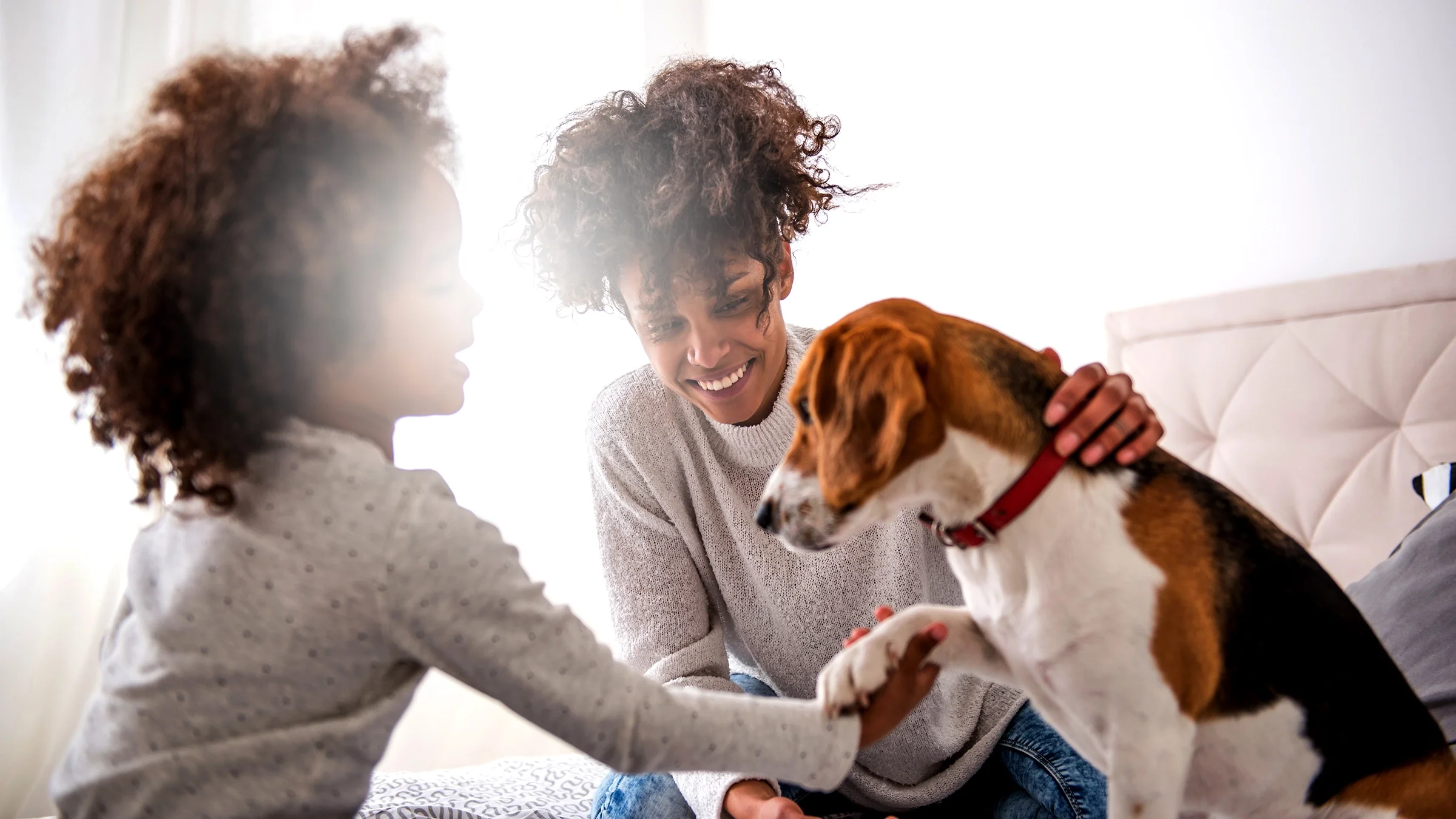 Mother and daughter playing with a beagle dog.