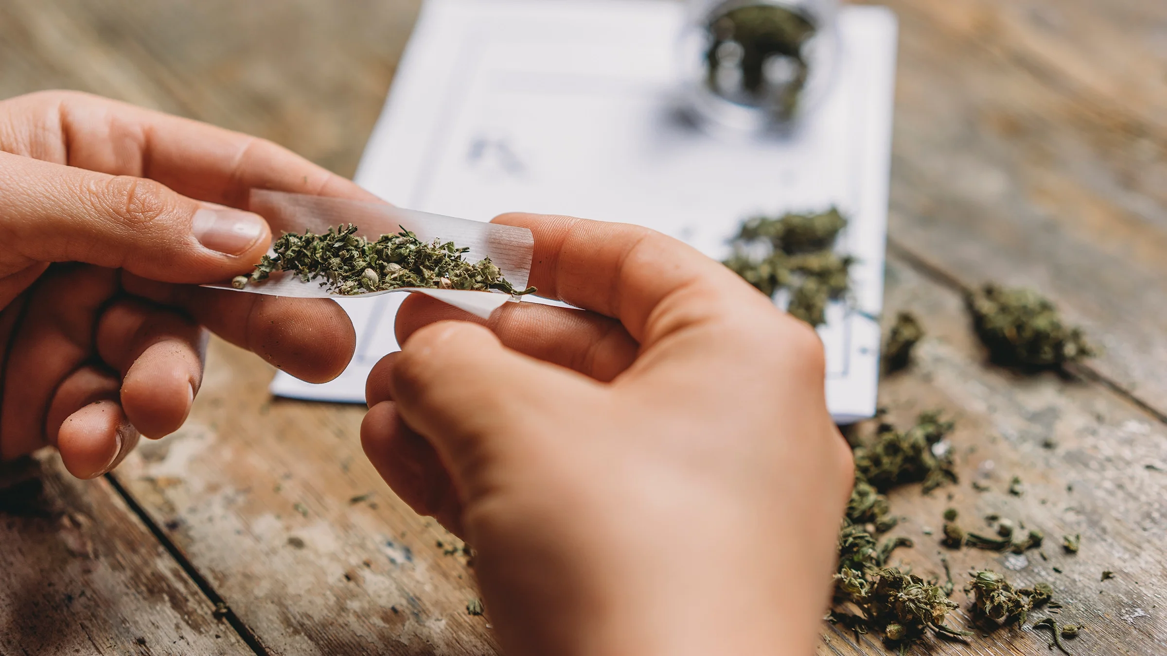 A person rolls a cannabis joint, in close-up.