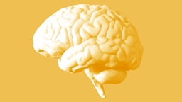 Do you know your brain has an endogenous opioid system? Learn how the opioid receptors (mu, kappa, and delta) interact with opioids and maintain addiction.