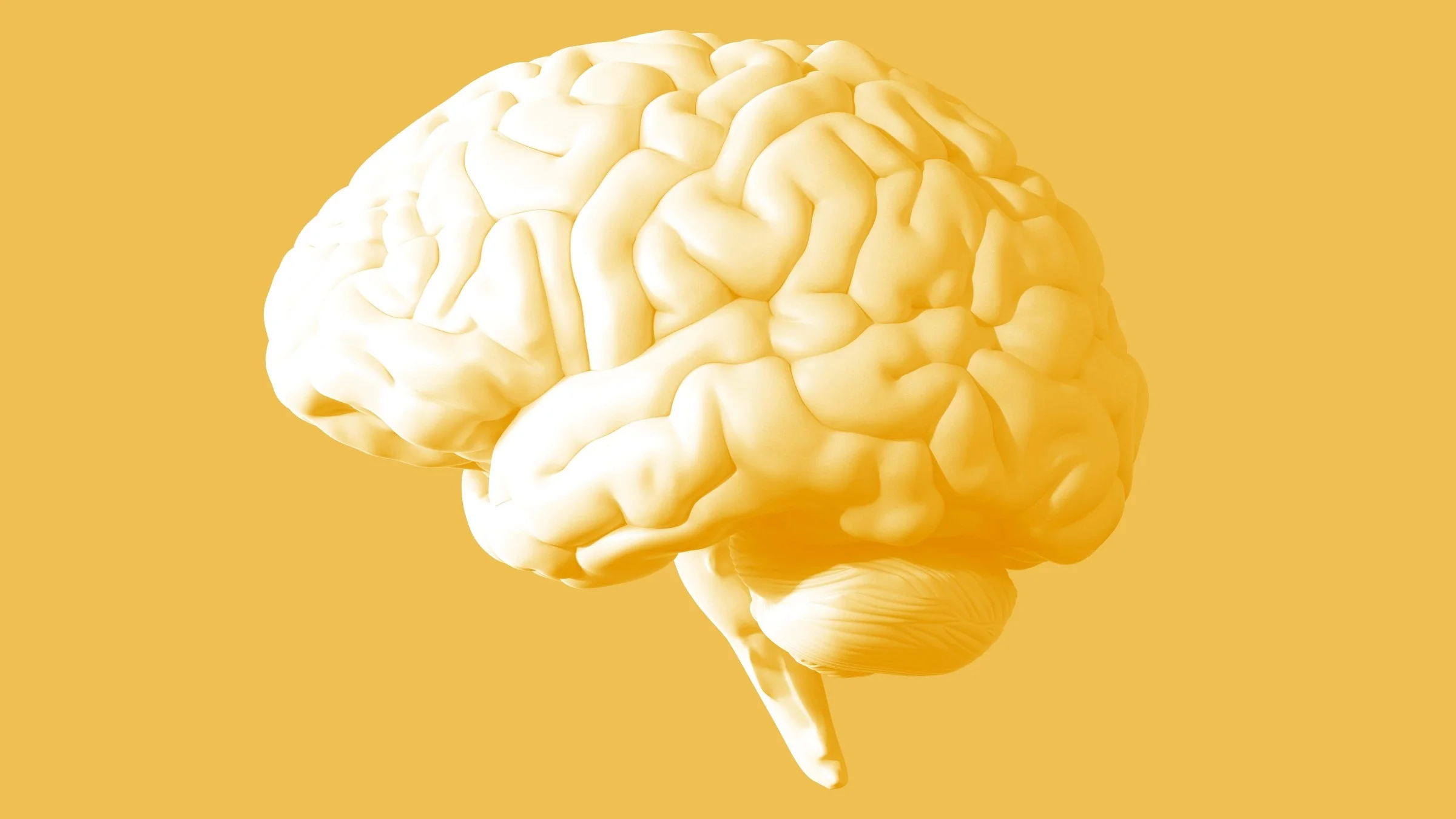 Yellow and white gradient brain graphic on a yellow background.