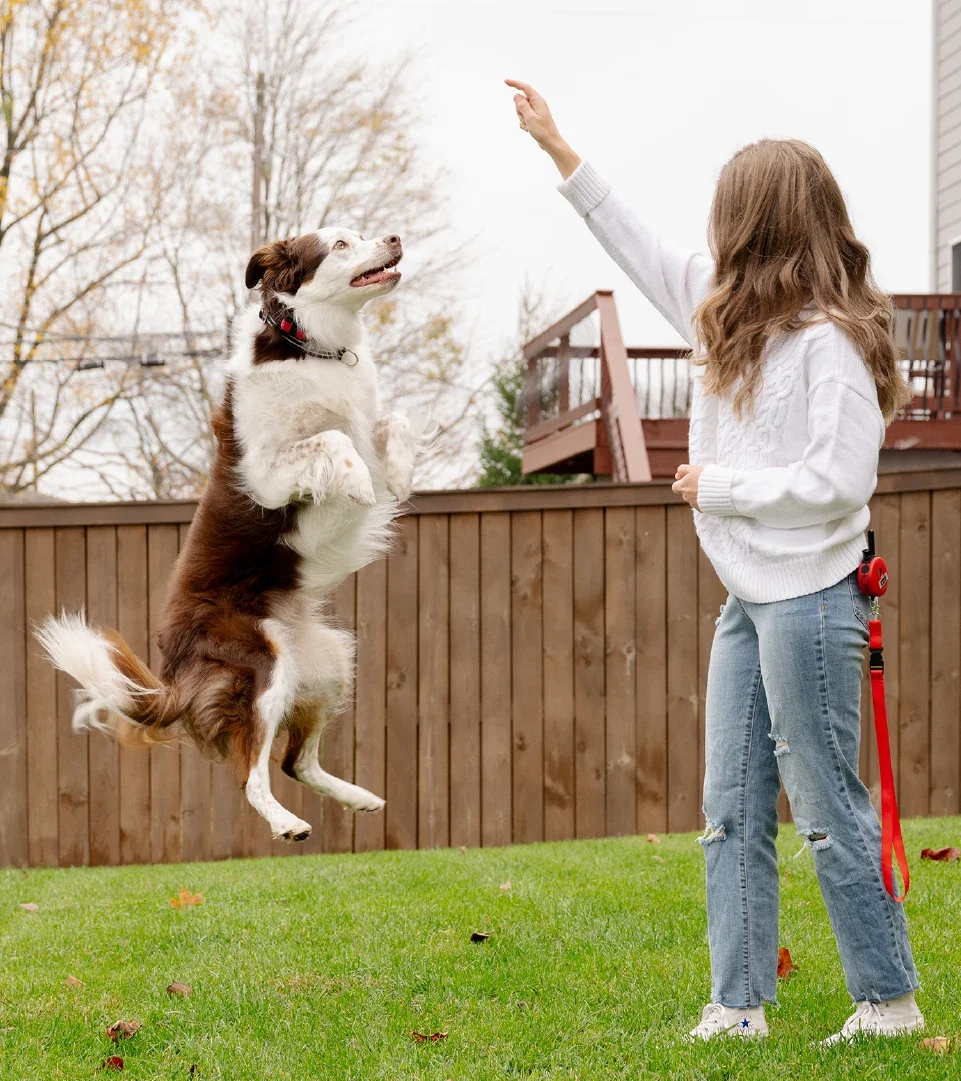 Dog trainer Beck Skaggs is pictured training her dog Dak, who is jumping.