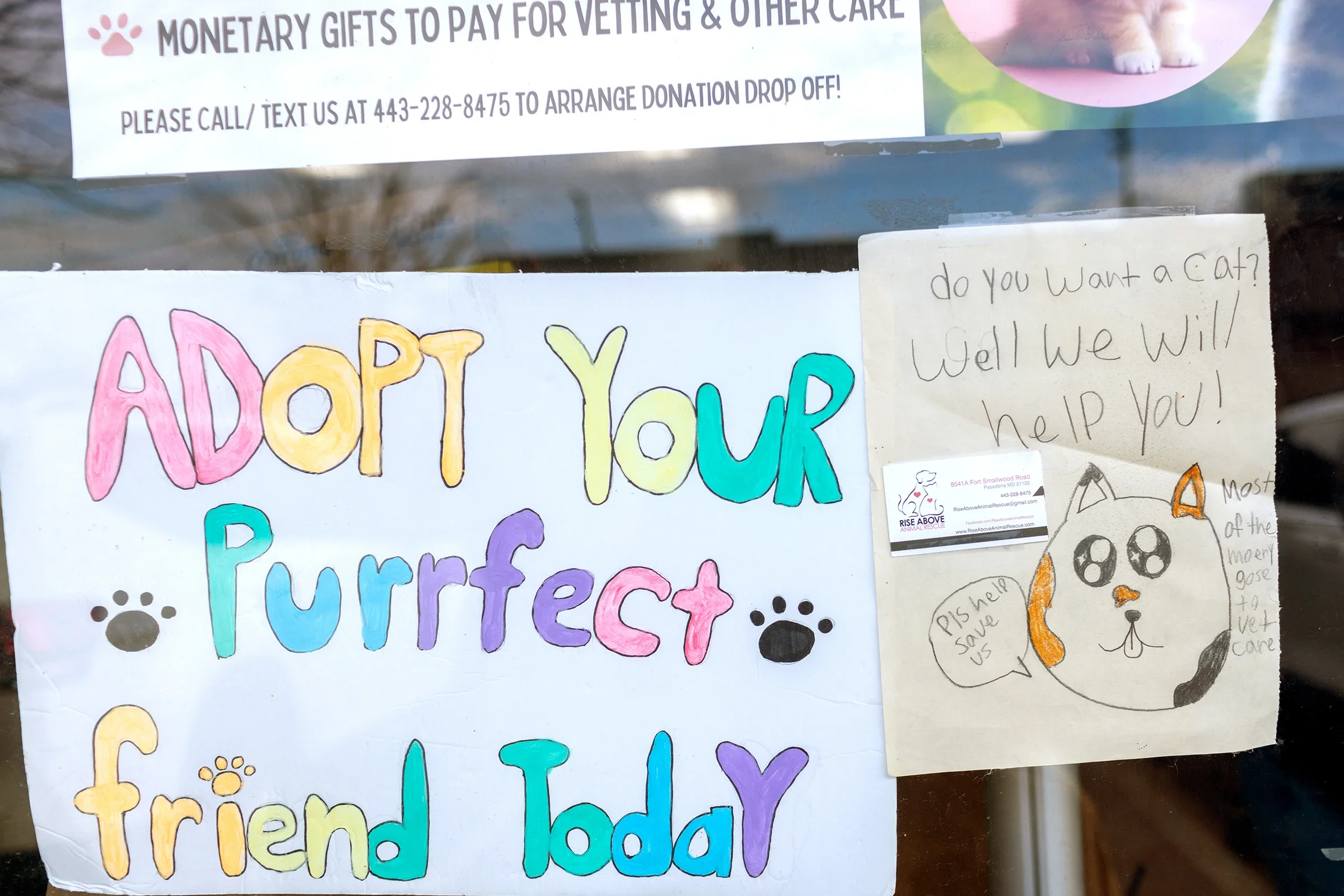 Signs in the animal rescue center window are pictured, including a handmade poster in colorful bubble letters that says: "Adopt Your Purrfect Friend Today."