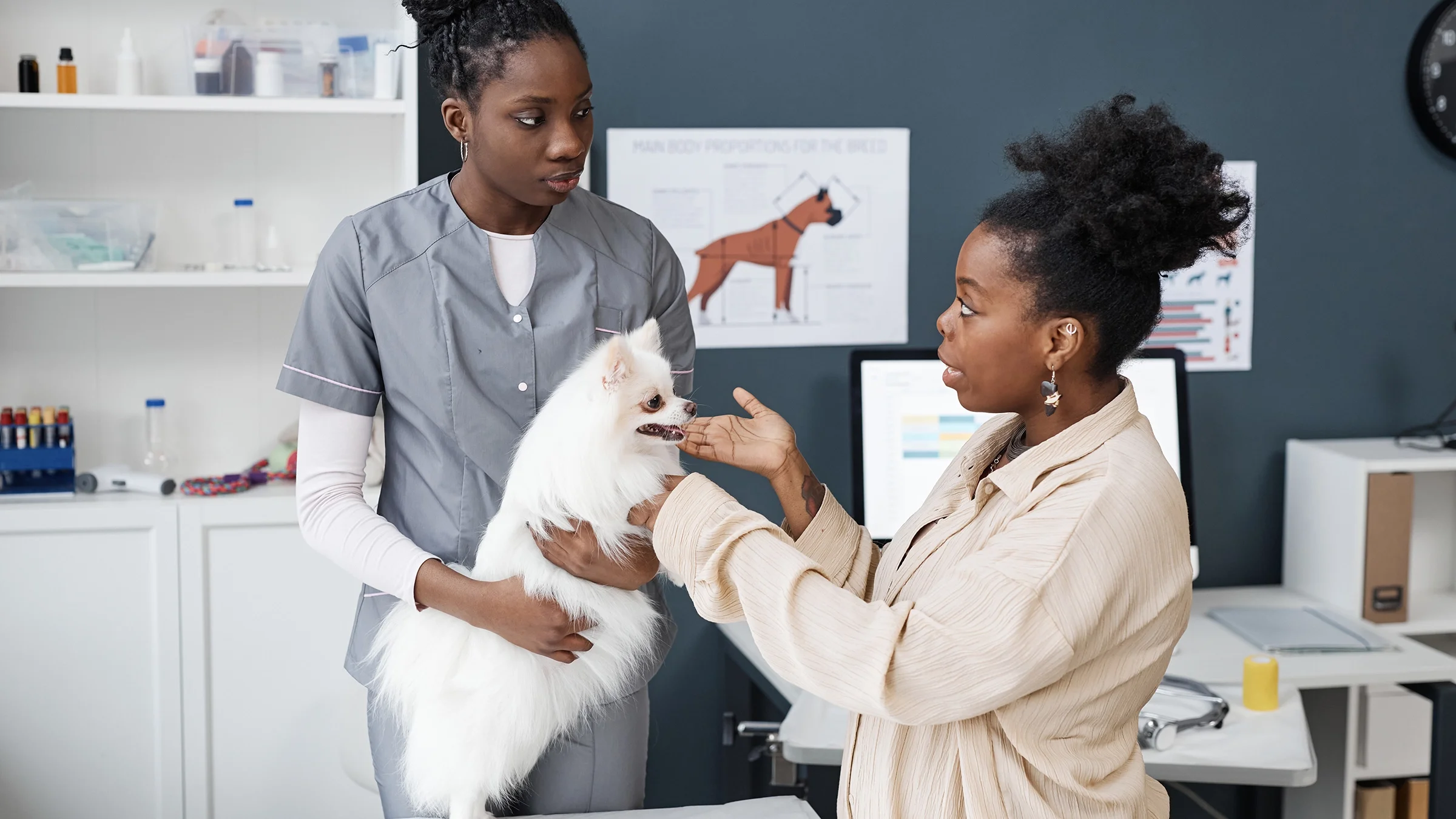 Dog owner telling the vet about her pet's symptoms.