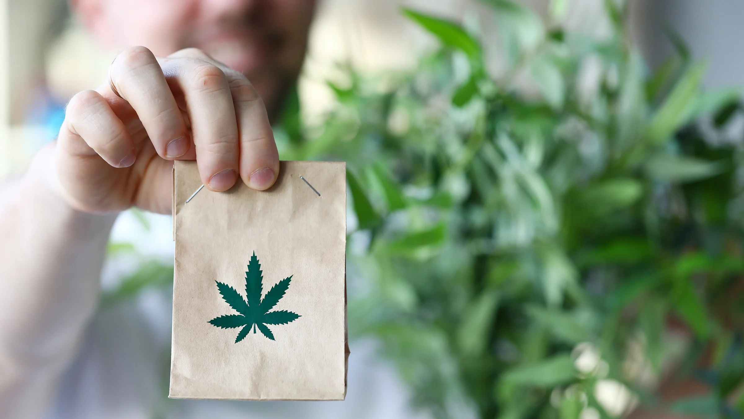 Close-up of a small paper bag with a marijuana leaf on it.
