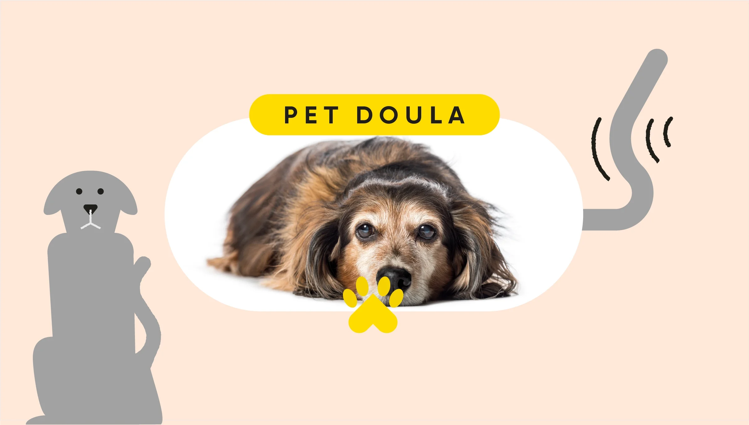 A graphic includes a photo of an older dog under text reading “Pet Doula” and surrounded by dog-themed doodles.  