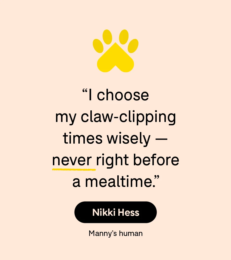“I choose my claw-clipping times wisely — never right before a mealtime.” — Nikki Hess