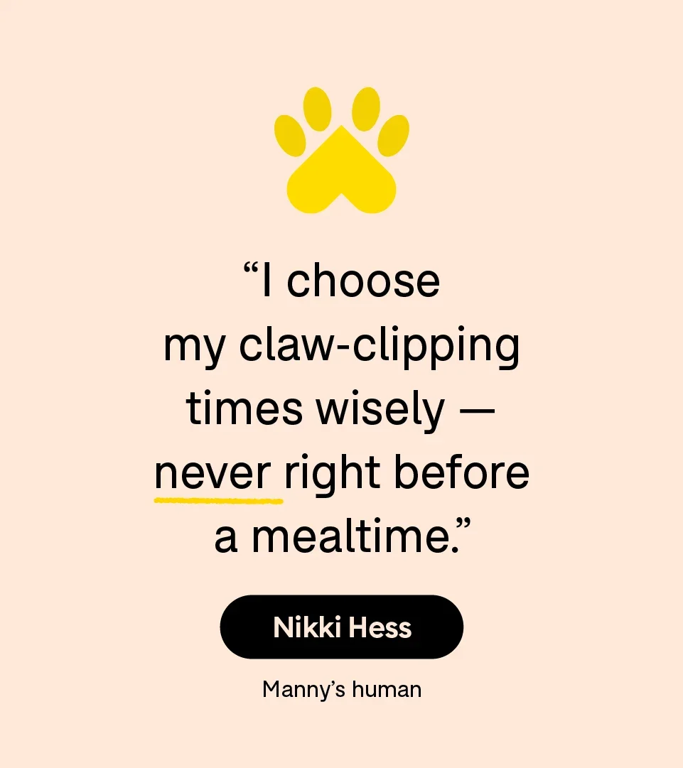 “I choose my claw-clipping times wisely — never right before a mealtime.” — Nikki Hess