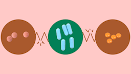 A graphic on Focalin interactions shows three types of pills highlighted by red and green circles. 
GoodRx Health