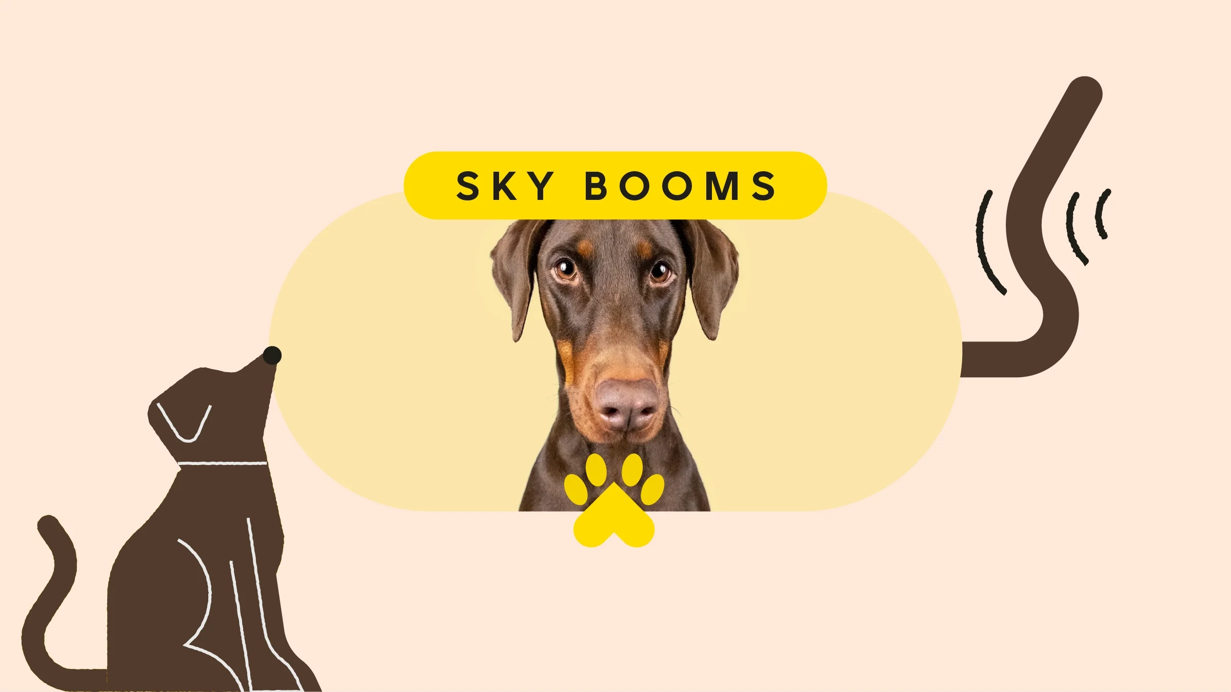 Tan background with oval-framed picture of a Doberman on a yellow background. The text above reads “Sky booms.” In the left corner is an illustration of a brown dog. On the right is an illustration of a dog tail wagging.