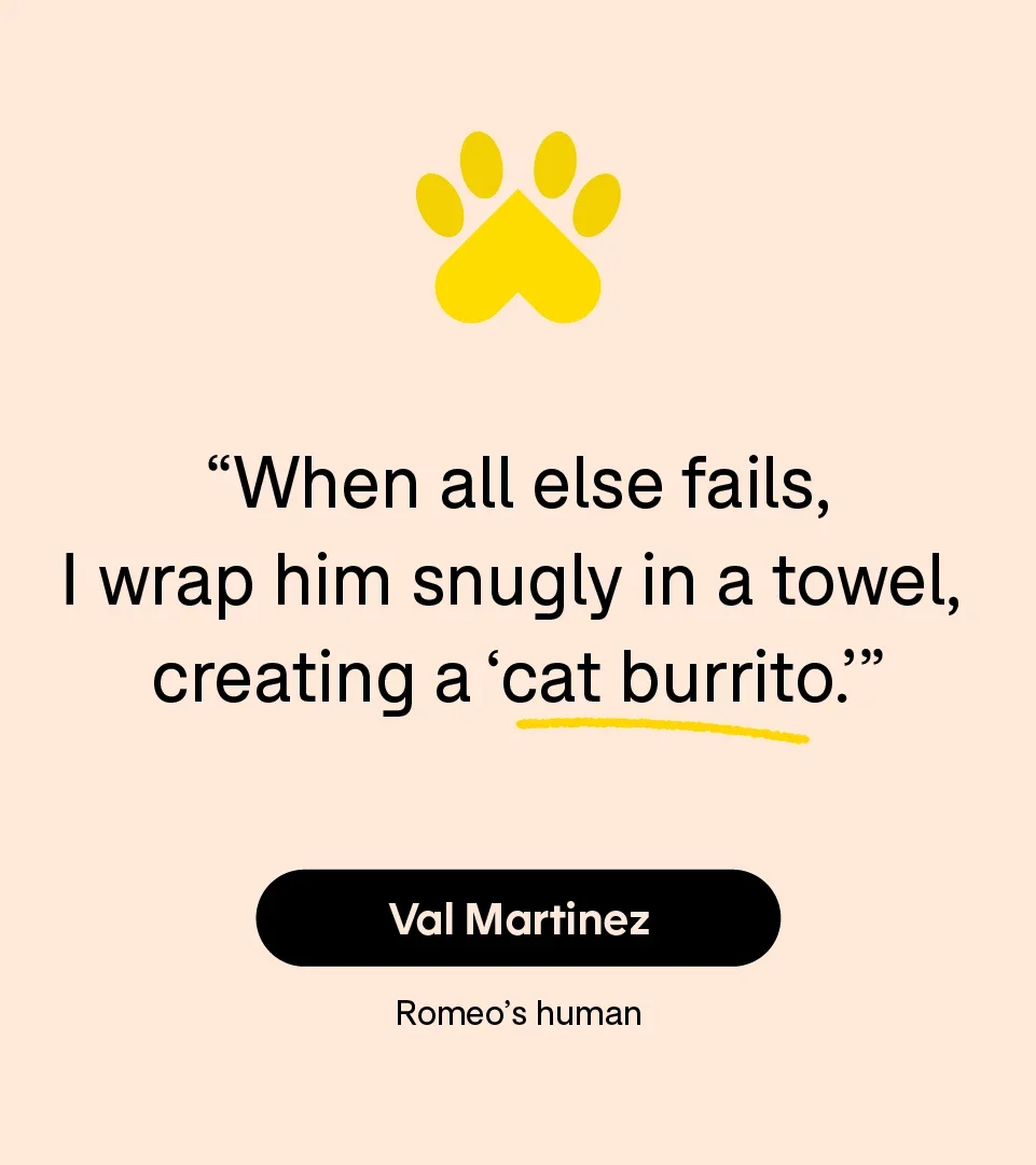 “When all else fails, I wrap him snugly in a towel, creating a ‘cat burrito.’” — Val Martinez