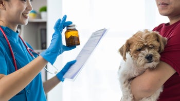dog: vet showing pill bottle 2152601262