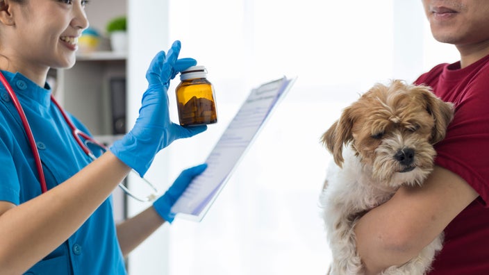 A vet showing a pill bottle to an owner holding their dog.